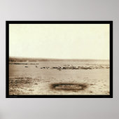 Cowboy Cattle Up SD 1891 Poster (Voorkant)