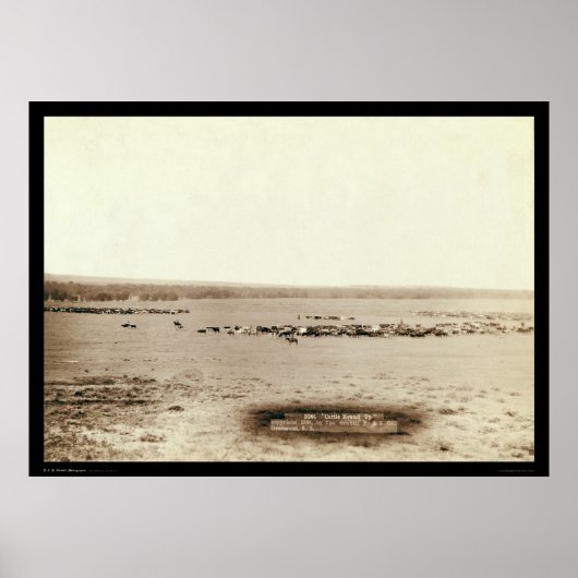 Cowboy Cattle Up SD 1891 Poster (Voorkant)