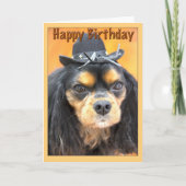 Cowboy Cavalier King Charles Spaniel Verjaardag Kaart (Voorkant)