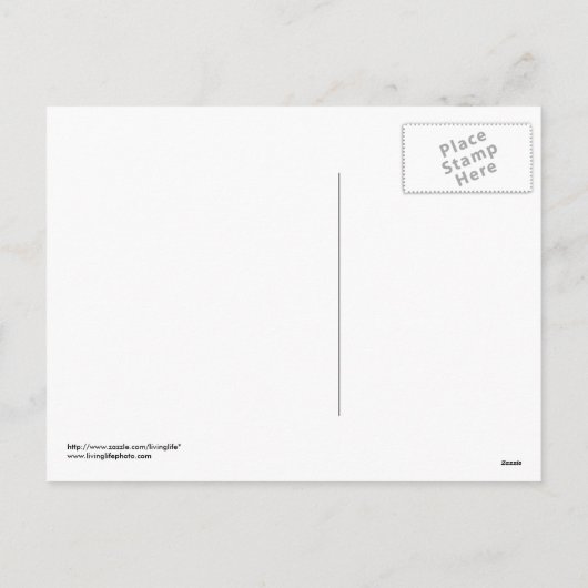 Cowboy Christmas Briefkaart (Achterkant)