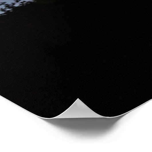 COWBOY COMPANES POSTER (Hoek)