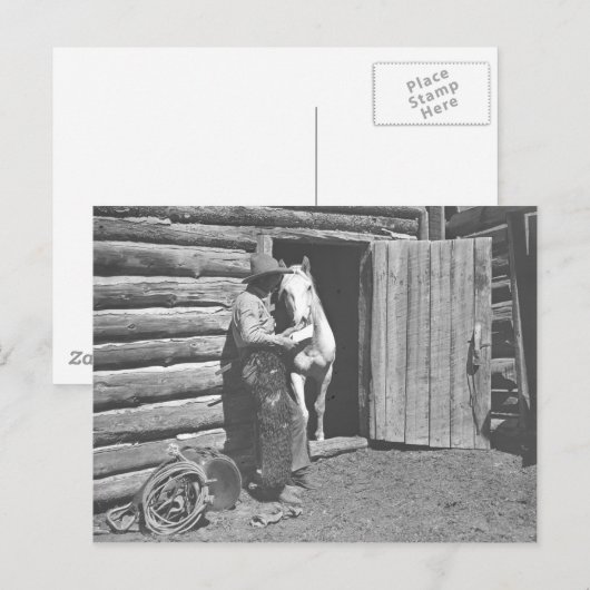 Cowboy die een brief leest briefkaart (Voorkant / Achterkant)