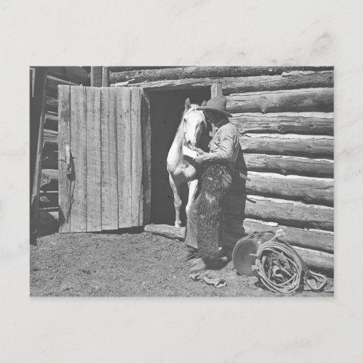 Cowboy die een brief leest. briefkaart (Voorkant)