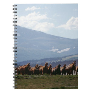 Cowboy die paarden verplaatst notitieboek