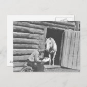 Cowboy een brief lezen met een paard briefkaart (Voorkant / Achterkant)