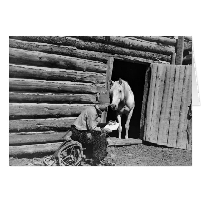 Cowboy en een paard die naar een brief kijken (Voorkant Horizontaal)