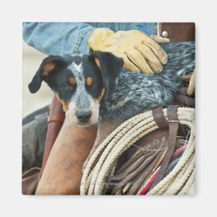 Cowboy en hond op paard magneet