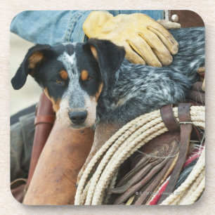 Cowboy en hond op paard onderzetter
