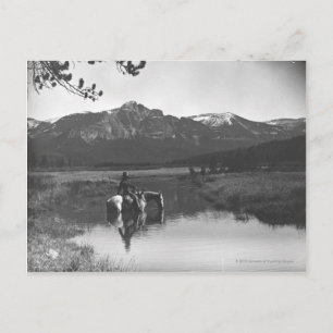 Cowboy en paard in een vijver briefkaart