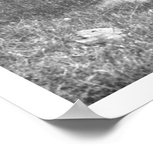 Cowboy en paard in een vijver poster (Hoek)