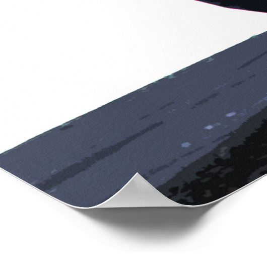 Cowboy Fotograaf Poster (Hoek)