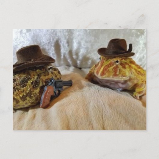 Cowboy Frogs Briefkaart (Voorkant)