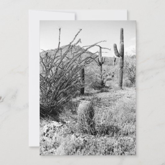 Cowboy Garden (AZ Sonoran Desert) Kaart (Voorkant)