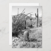 Cowboy Garden (AZ Sonoran Desert) Kaart (Voorkant / Achterkant)