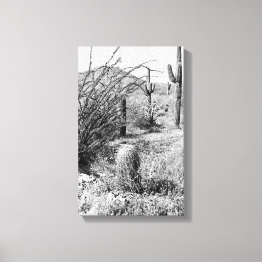 Cowboy Garden Canvas (AZ Sonoran-woestijn) Afdruk (Voorkant)