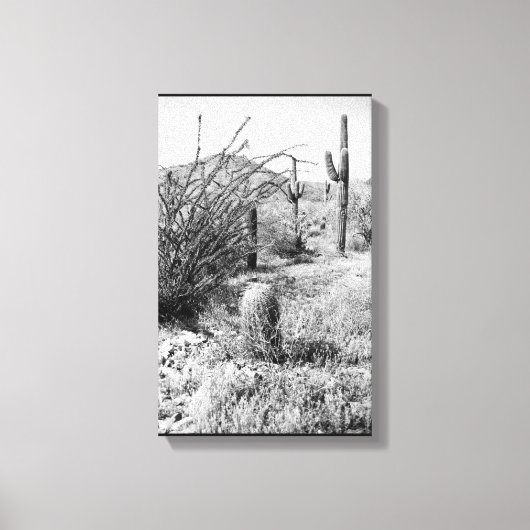 Cowboy Garden Canvas (AZ Sonoran-woestijn) Afdruk (Voorkant)