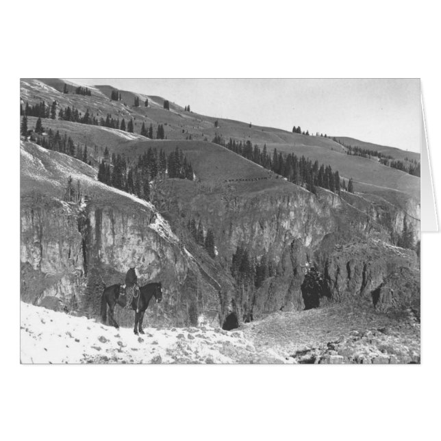 Cowboy gescheiden van zijn kudde. (Voorkant Horizontaal)