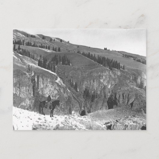 Cowboy gescheiden van zijn kudde. briefkaart (Voorkant)