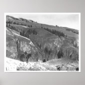 Cowboy gescheiden van zijn kudde. poster (Voorkant)