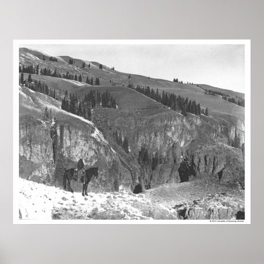 Cowboy gescheiden van zijn kudde. poster (Voorkant)