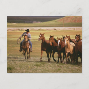 Cowboy Herding bij Ranch Briefkaart