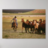 Cowboy Herding bij Ranch Poster (Voorkant)