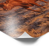 Cowboy Herding Cows at Sunset Foto Afdruk (Hoek)