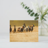 Cowboy herende paarden 2 briefkaart (Staand voorkant)