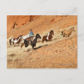 Cowboy-herstellingpaarden Briefkaart (Voorkant)