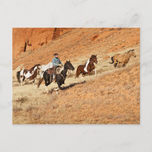 Cowboy-herstellingpaarden Briefkaart (Voorkant)