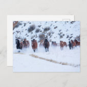 Cowboy Horse Drive | Hideout Ranch Shell, Wyoming Briefkaart (Voorkant / Achterkant)