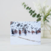 Cowboy Horse Drive | Hideout Ranch Shell, Wyoming Briefkaart (Staand voorkant)