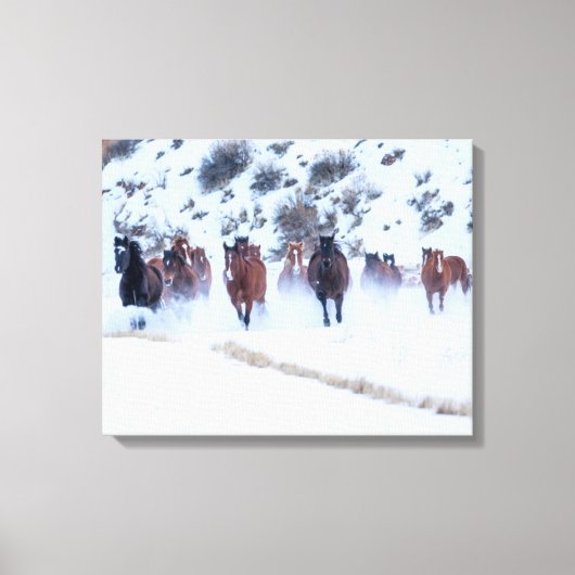 Cowboy Horse Drive | Hideout Ranch Shell, Wyoming Canvas Afdruk (Voorkant)