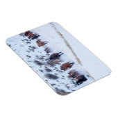 Cowboy Horse Drive | Hideout Ranch Shell, Wyoming Magneet (Rechterzijde)