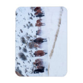 Cowboy Horse Drive | Hideout Ranch Shell, Wyoming Magneet (Verticaal)