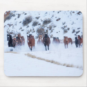 Cowboy Horse Drive Hideout Ranch Shell, Wyoming Muismat