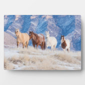 Cowboy Horse Drive op Hideout Ranch Fotoplaat (voorkant)