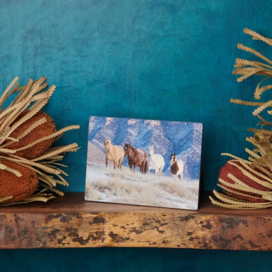 Cowboy Horse Drive op Hideout Ranch Fotoplaat (Zijkant)