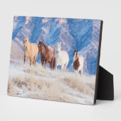 Cowboy Horse Drive op Hideout Ranch Fotoplaat (Zijkant)