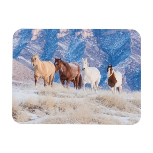 Cowboy Horse Drive op Hideout Ranch Magneet (Horizontaal)