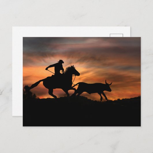 Cowboy Horse en Steer Southwestern Sunset Rodeo Briefkaart (Voorkant / Achterkant)