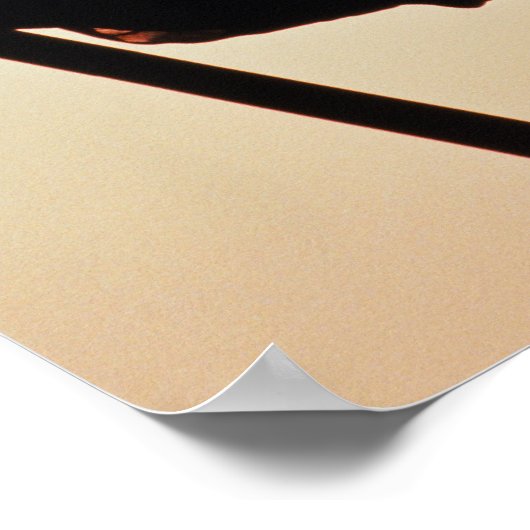 Cowboy houdster met sterren en strepen, silhouette poster (Hoek)