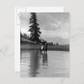 Cowboy in een vijver briefkaart (Voorkant / Achterkant)