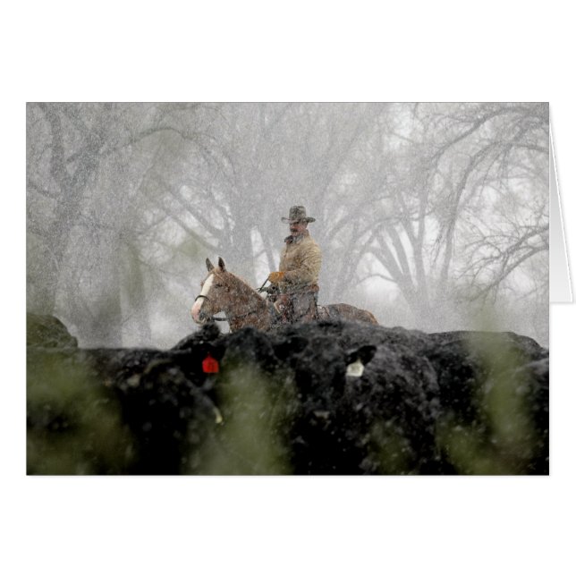 Cowboy in Winter (Voorkant Horizontaal)