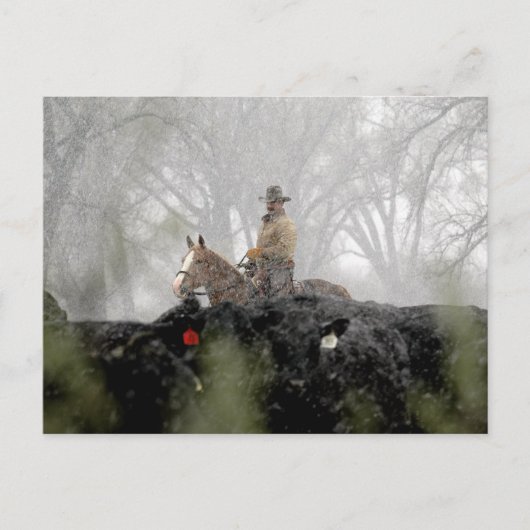 Cowboy in Winter Briefkaart (Voorkant)