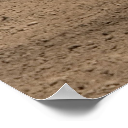 Cowboy krijgt een Kick uit Bronc Riding Poster (Hoek)