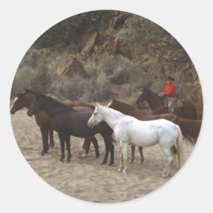 Cowboy met Herd Ronde Sticker