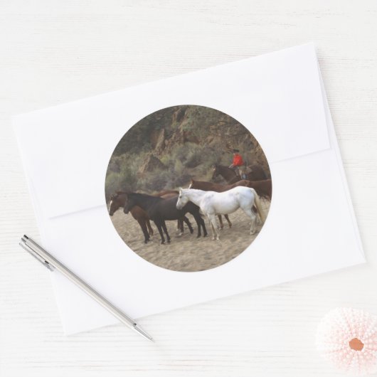 Cowboy met Herd Ronde Sticker (Envelop)