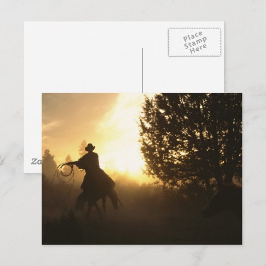 Cowboy met Lasso in Sunset Briefkaart (Voorkant / Achterkant)