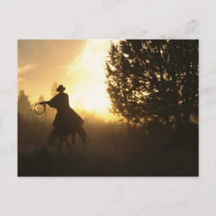Cowboy met Lasso in Sunset Briefkaart